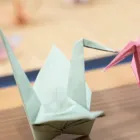 プライバシーポリシー